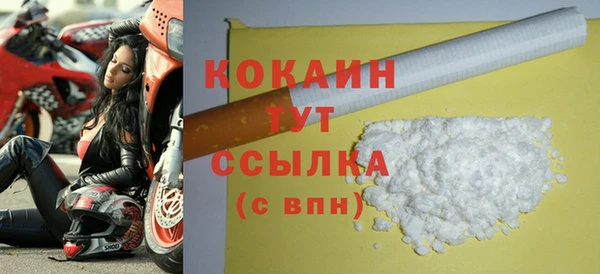 гидра Покачи