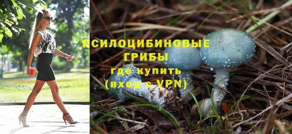 наркотики Бородино