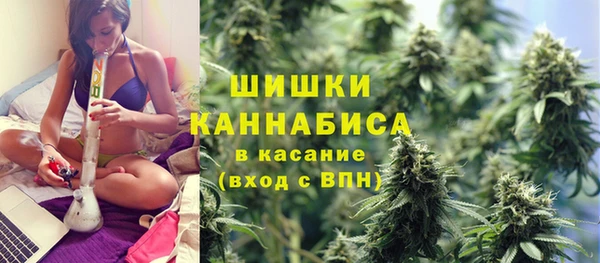 гидра Покачи