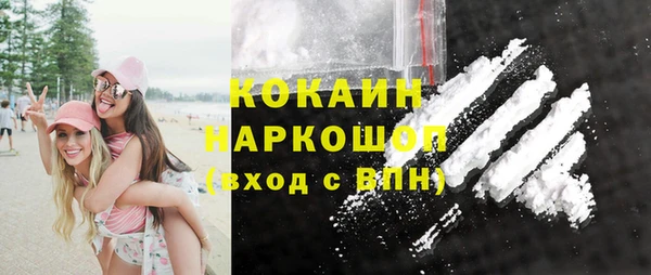 гидра Покачи